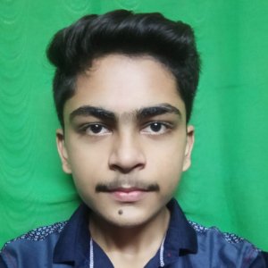 Aarav Rastogee