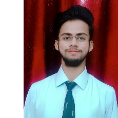 Aarav SrivashtavaProfile Image