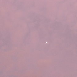 Aastha GhoshProfile Image