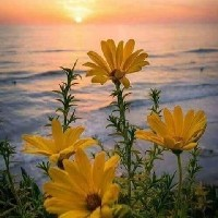 Abhiraesh BansalProfile Image