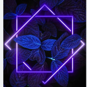 Alizit ShaikhProfile Image