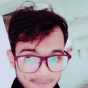 Ameeesh Chauhan