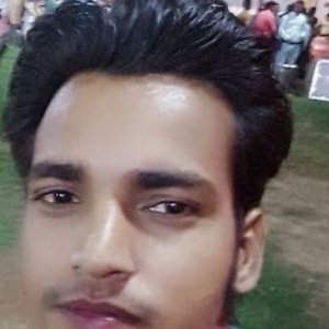 Amiesh TiwariProfile Image