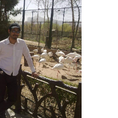 Amir Hasan