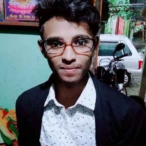 Animesesh Agarwal