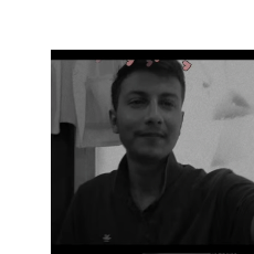 ANISH SINHAProfile Image