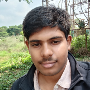 Ankit Patel