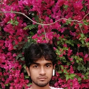 Ankuesh Verma