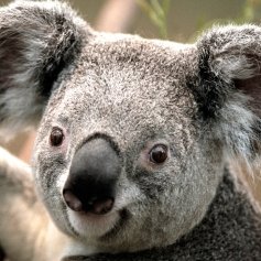 Annit KulkarniProfile Image