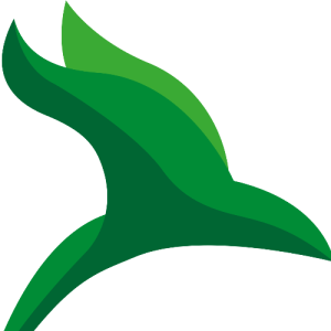 Anshumaesh ReddyProfile Image