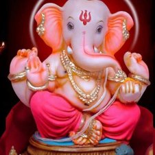 Apoorvesh IyerProfile Image