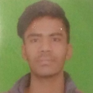 Arif Anwar