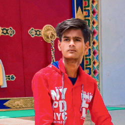 Arif Malik