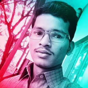 Arin Reddy