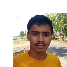Arya Pankaj