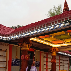 Arya RayProfile Image