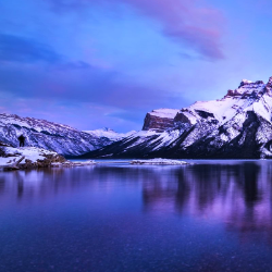 Ashwin HudaProfile Image