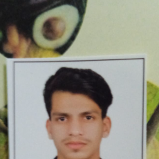 Asif Arman