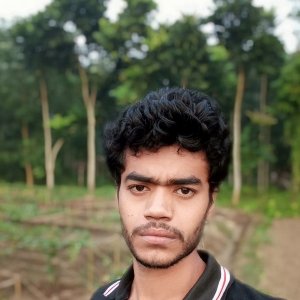 Avijiit Pandey