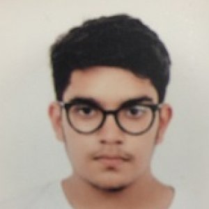 Avneesesh Kulkarni