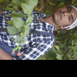Avoesh Deshpande