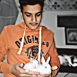 Avtait Verma