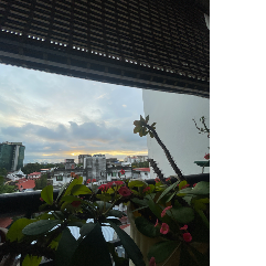 Ayesha NizarProfile Image