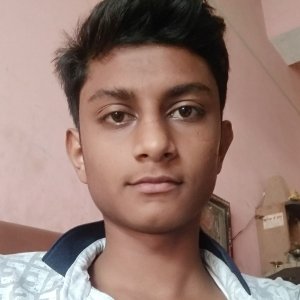 Ayusesh Bansal