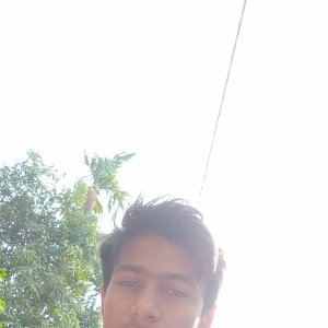 Ayusesh Chauhan