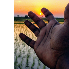 Babav Kulkarni