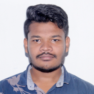 Bala Ramachandra Bellapu