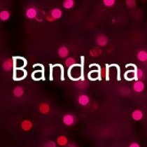 Bandanesh TiwariProfile Image