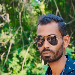 Basit TrivediProfile Image
