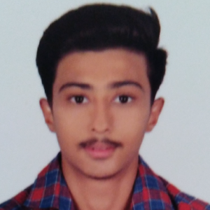 Bhagayarajsinesh Gupta