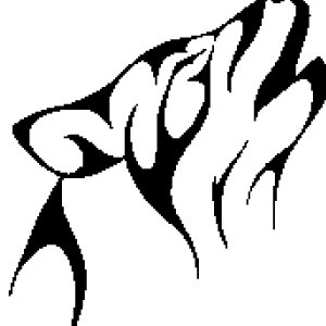 Bharaav ReddyProfile Image