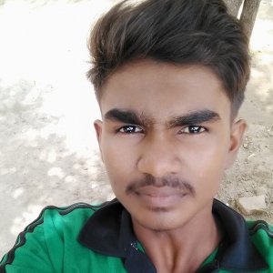 Bhavasanit GuptaProfile Image