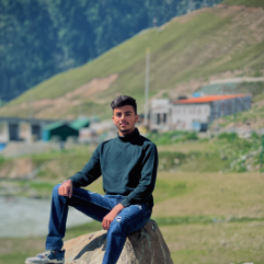 Bhaviit Gupta