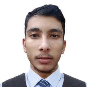 Bimaav Awasthi