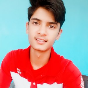 Bin Goyal