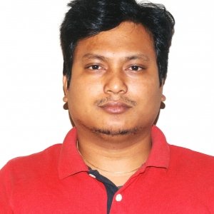 Bishnit Agarwal