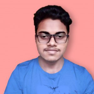 Biswaranjaesh Bansal