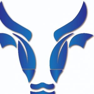 Bullsofttecan Goyal