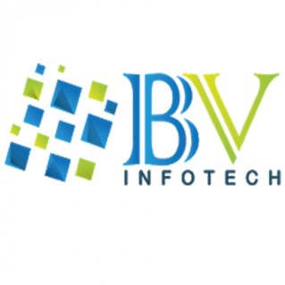 BVI Info Systems Pvt. Ltd.