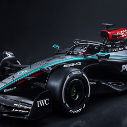 Cobalt BearProfile Image