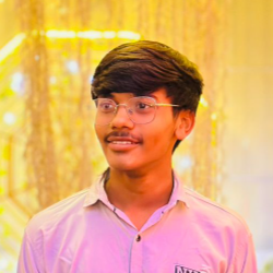 Daksheesh SavaniProfile Image