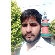 Dalsingaav MishraProfile Image