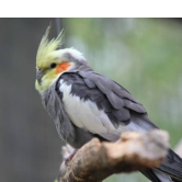 DevendraProfile Image