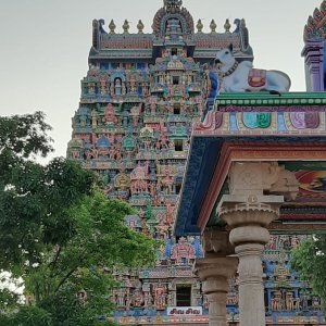 Dharanidharaav Gupta