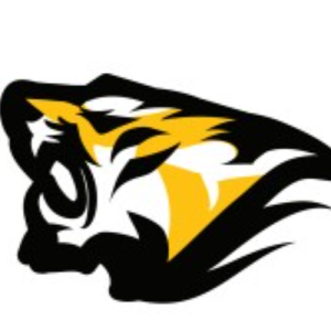 DigiRoar Technologies Pvt. Ltd.Profile Image