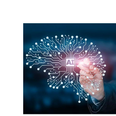 Dinesh RamakrishnaProfile Image
